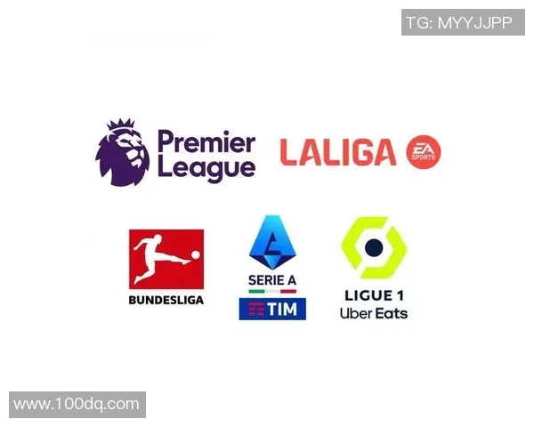 聚焦五大联赛全景解析欧洲足球新赛季风云变幻格局与演进趋势